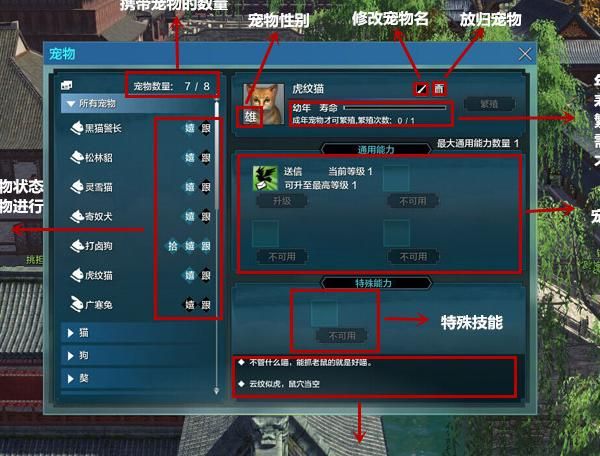 天涯明月刀宠物在哪里