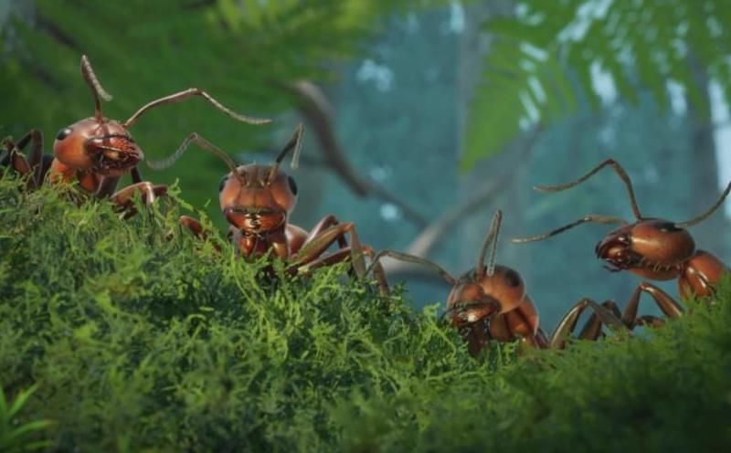 蚂蚁帝国怎么升级蚂蚁军团的