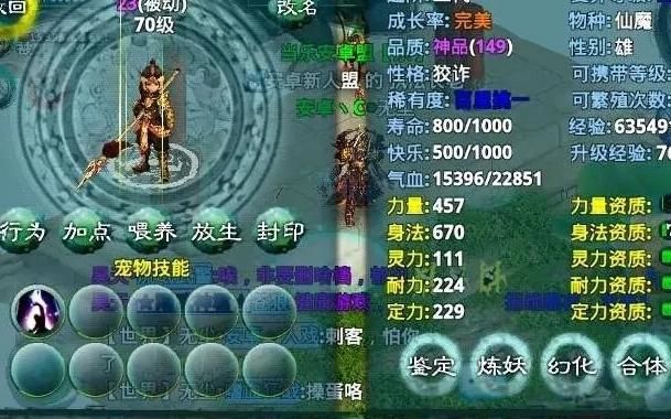 忘仙宠物怎么加点