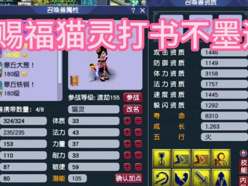 梦幻西游猫灵和什么合宠比较好