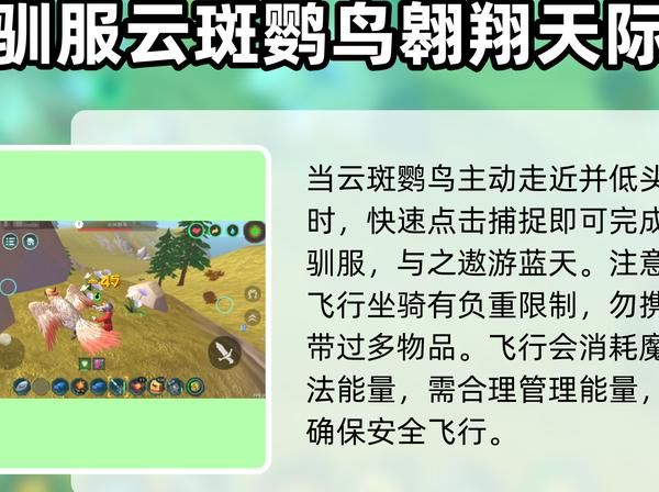 创造与魔法白莲有什么用