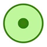 细胞实验室​​​​​​​