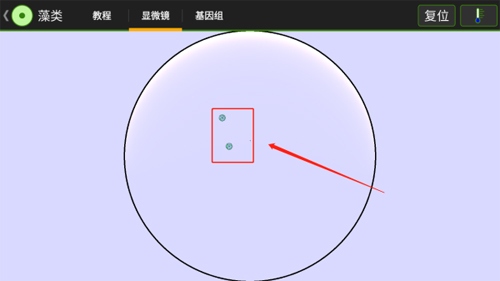 细胞实验室新手3