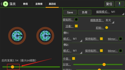 细胞实验室新手4